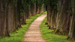 Microsoft Learning Pathways – Was ist es? Was kann es?